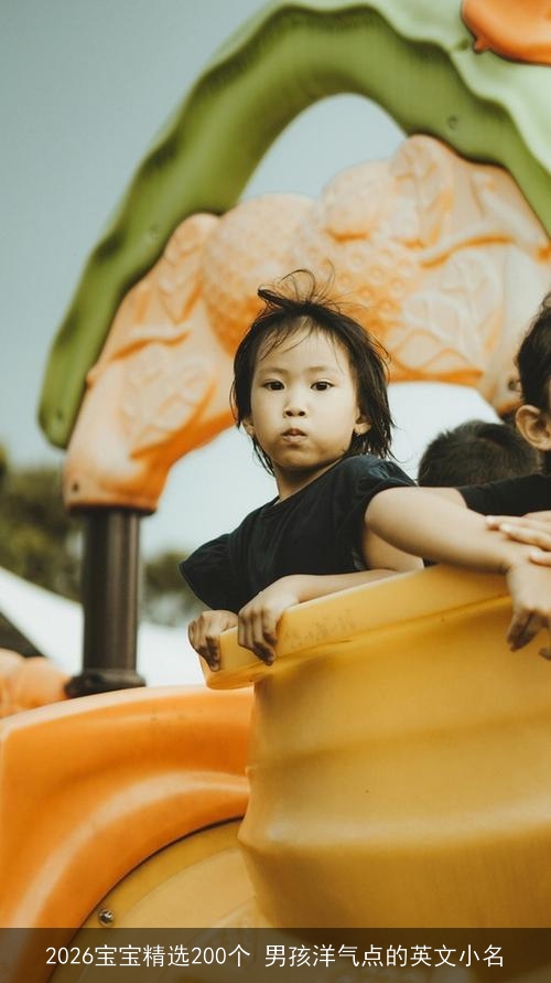 2026宝宝精选200个 男孩洋气点的英文小名 2026宝宝精选200个 男孩洋气点的英文小名