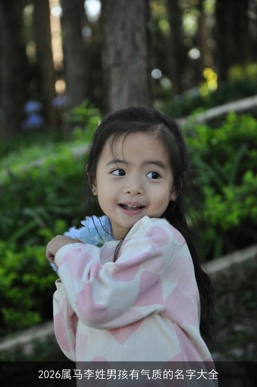 2026属马李姓男孩有气质的名字大全 2026属马李姓男孩有气质的名字大全