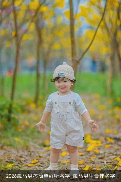 2026属马男孩简单好听名字 属马男生最佳名字 2026属马男孩简单好听名字 属马男生最佳名字