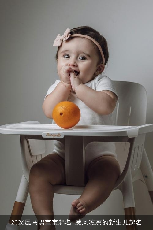 2026属马男宝宝起名 威风凛凛的新生儿起名 2026属马男宝宝起名 威风凛凛的新生儿起名