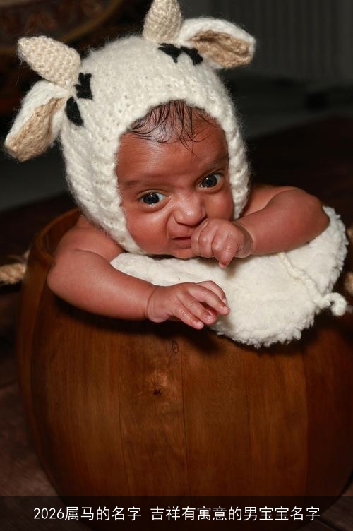 2026属马的名字 吉祥有寓意的男宝宝名字 2026属马的名字 吉祥有寓意的男宝宝名字