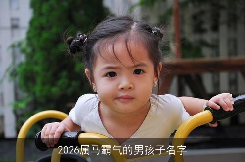 2026属马霸气的男孩子名字 2026属马霸气的男孩子名字