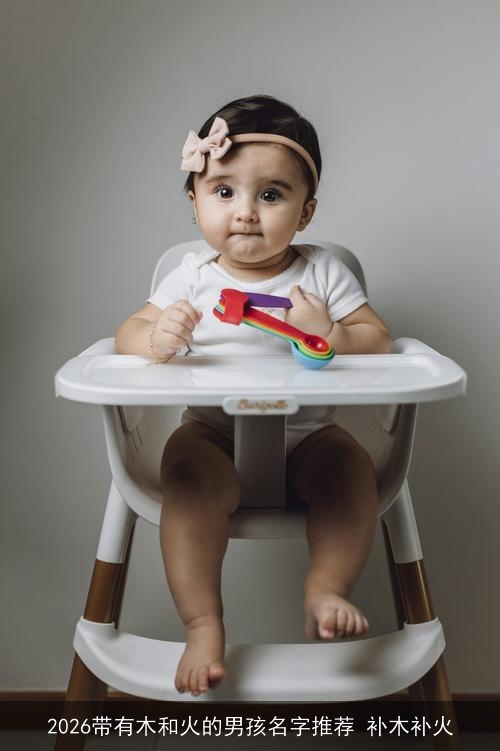 2026带有木和火的男孩名字推荐 补木补火 2026带有木和火的男孩名字推荐 补木补火