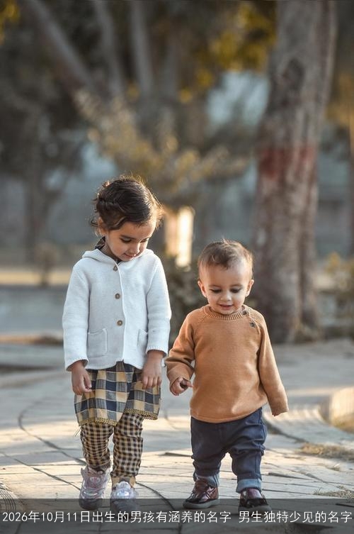 2026年10月11日出生的男孩有涵养的名字 男生独特少见的名字 2026年10月11日出生的男孩有涵养的名字 男生独特少见的名字