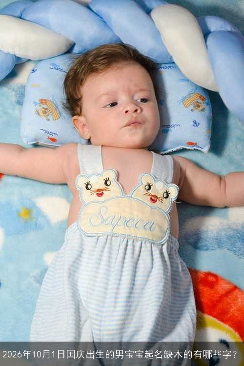 2026年10月1日国庆出生的男宝宝起名缺木的有哪些字? 2026年10月1日国庆出生的男宝宝起名缺木的有哪些字?