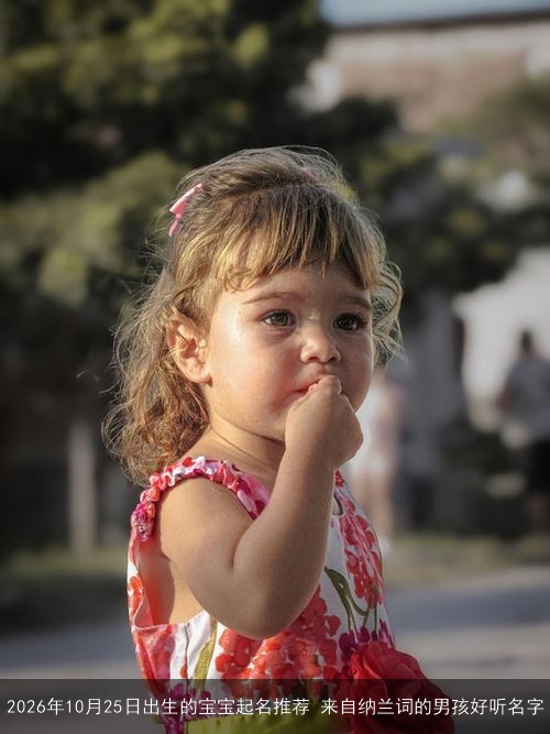 2026年10月25日出生的宝宝起名推荐 来自纳兰词的男孩好听名字 2026年10月25日出生的宝宝起名推荐 来自纳兰词的男孩好听名字
