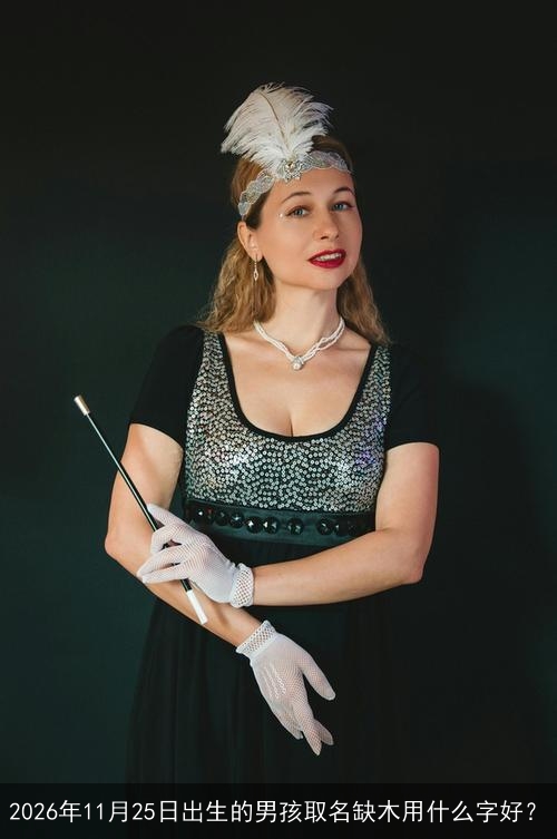 2026年11月25日出生的男孩取名缺木用什么字好? 2026年11月25日出生的男孩取名缺木用什么字好?