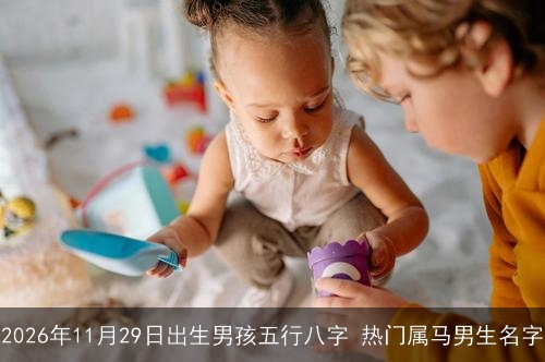 2026年11月29日出生男孩五行八字 热门属马男生名字 2026年11月29日出生男孩五行八字 热门属马男生名字