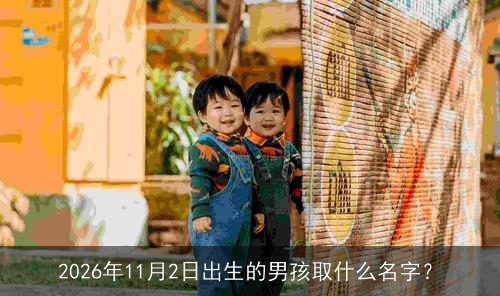 2026年11月2日出生的男孩取什么名字? 2026年11月2日出生的男孩取什么名字?