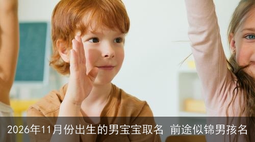 2026年11月份出生的男宝宝取名 前途似锦男孩名 2026年11月份出生的男宝宝取名 前途似锦男孩名