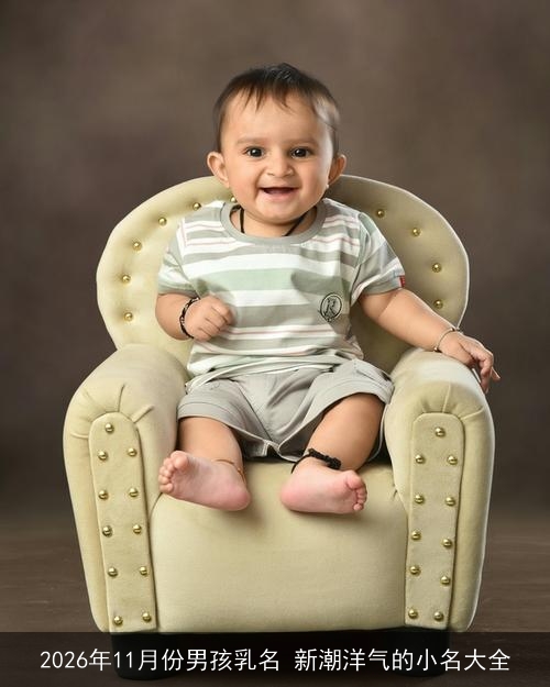 2026年11月份男孩乳名 新潮洋气的小名大全 2026年11月份男孩乳名 新潮洋气的小名大全
