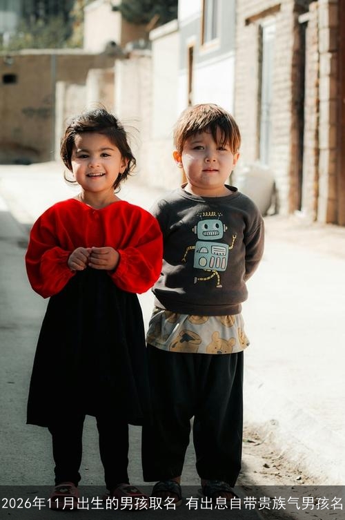 2026年11月出生的男孩取名 有出息自带贵族气男孩名 2026年11月出生的男孩取名 有出息自带贵族气男孩名