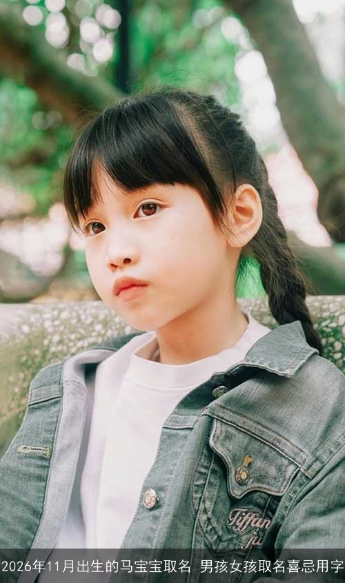 2026年11月出生的马宝宝取名 男孩女孩取名喜忌用字 2026年11月出生的马宝宝取名 男孩女孩取名喜忌用字