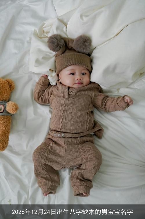 2026年12月24日出生八字缺木的男宝宝名字 2026年12月24日出生八字缺木的男宝宝名字