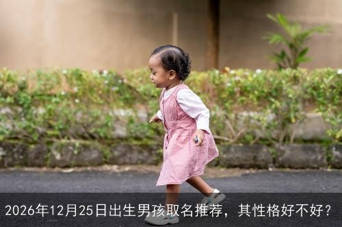 2026年12月25日出生男孩取名推荐,其性格好不好? 2026年12月25日出生男孩取名推荐,其性格好不好?
