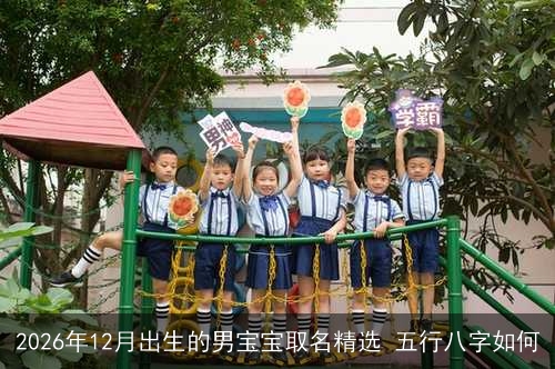 2026年12月出生的男宝宝取名精选 五行八字如何 2026年12月出生的男宝宝取名精选 五行八字如何