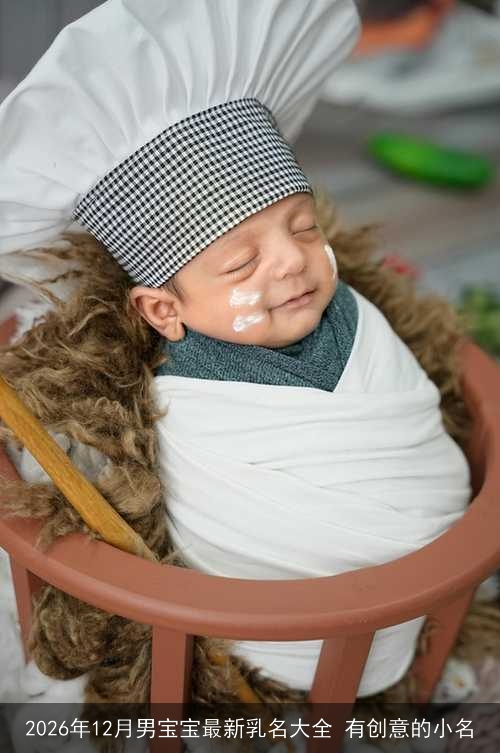 2026年12月男宝宝最新乳名大全 有创意的小名 2026年12月男宝宝最新乳名大全 有创意的小名