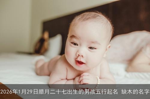 2026年1月29日腊月二十七出生的男孩五行起名 缺木的名字 2026年1月29日腊月二十七出生的男孩五行起名 缺木的名字