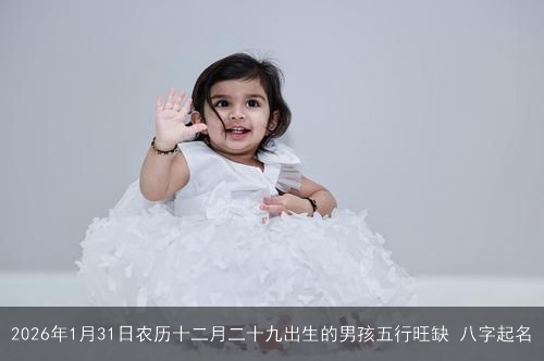 2026年1月31日农历十二月二十九出生的男孩五行旺缺 八字起名 2026年1月31日农历十二月二十九出生的男孩五行旺缺 八字起名