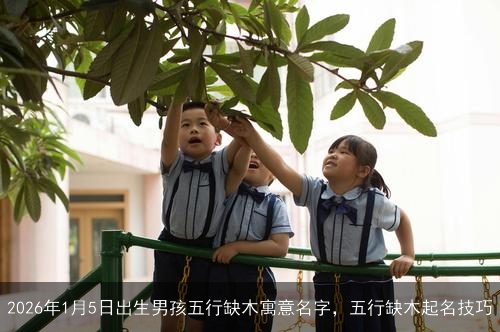 2026年1月5日出生男孩五行缺木寓意名字,五行缺木起名技巧 2026年1月5日出生男孩五行缺木寓意名字,五行缺木起名技巧