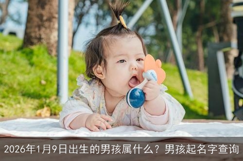 2026年1月9日出生的男孩属什么?男孩起名字查询 2026年1月9日出生的男孩属什么?男孩起名字查询