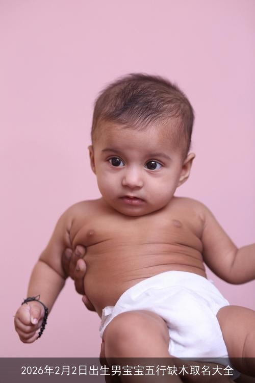 2026年2月2日出生男宝宝五行缺木取名大全 2026年2月2日出生男宝宝五行缺木取名大全