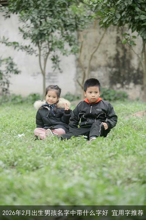 2026年2月出生男孩名字中带什么字好 宜用字推荐 2026年2月出生男孩名字中带什么字好 宜用字推荐