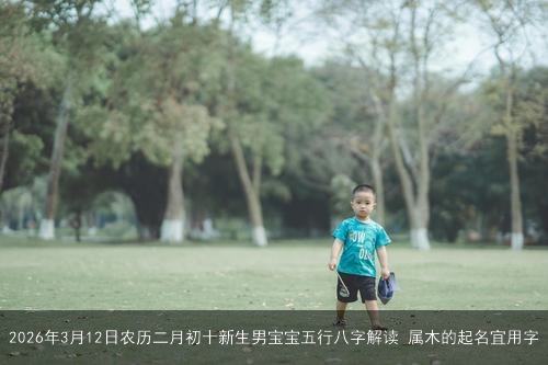 2026年3月12日农历二月初十新生男宝宝五行八字解读 属木的起名宜用字 2026年3月12日农历二月初十新生男宝宝五行八字解读 属木的起名宜用字