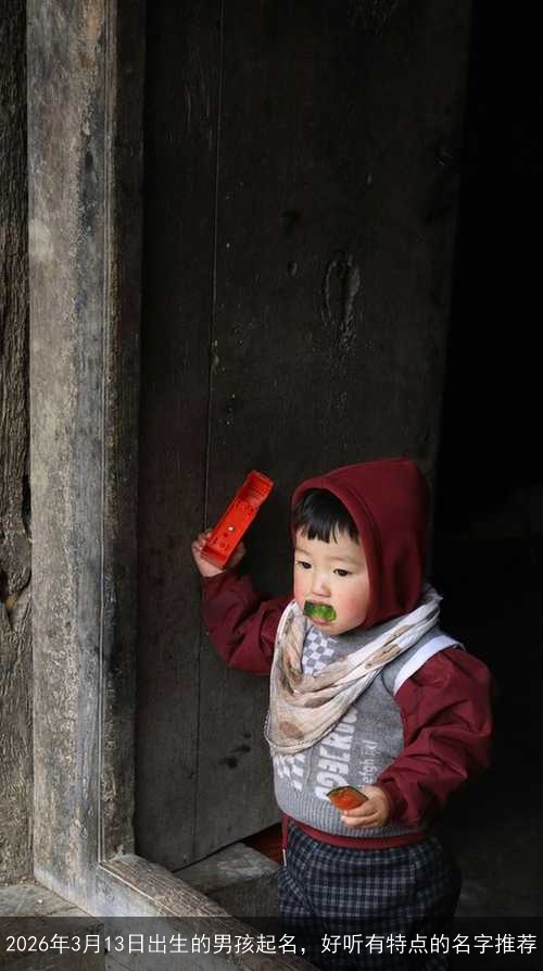 2026年3月13日出生的男孩起名,好听有特点的名字推荐 2026年3月13日出生的男孩起名,好听有特点的名字推荐