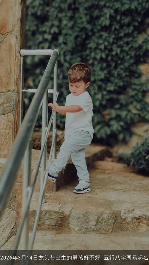 2026年3月14日龙头节出生的男孩好不好 五行八字周易起名 2026年3月14日龙头节出生的男孩好不好 五行八字周易起名