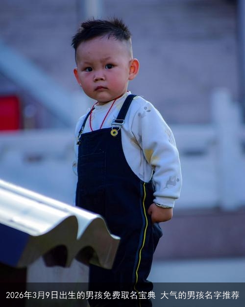 2026年3月9日出生的男孩免费取名宝典 大气的男孩名字推荐 2026年3月9日出生的男孩免费取名宝典 大气的男孩名字推荐