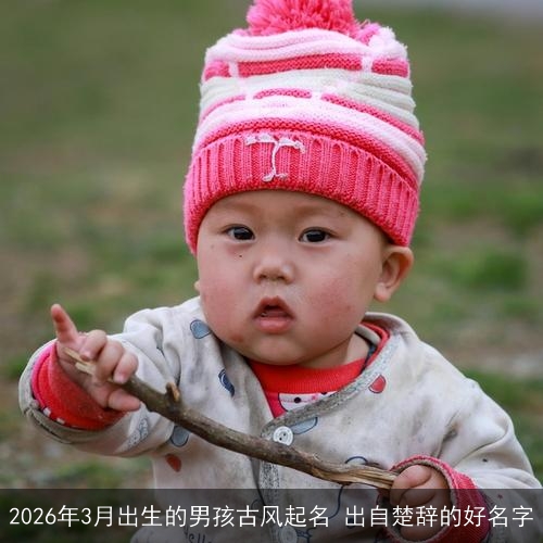 2026年3月出生的男孩古风起名 出自楚辞的好名字 2026年3月出生的男孩古风起名 出自楚辞的好名字