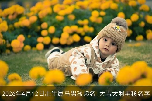 2026年4月12日出生属马男孩起名 大吉大利男孩名字 2026年4月12日出生属马男孩起名 大吉大利男孩名字