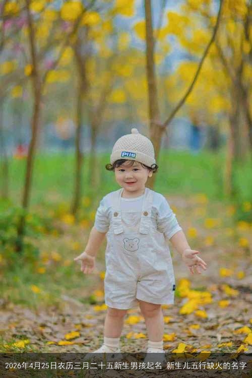 2026年4月25日农历三月二十五新生男孩起名 新生儿五行缺火的名字 2026年4月25日农历三月二十五新生男孩起名 新生儿五行缺火的名字
