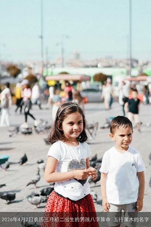2026年4月2日农历三月初二出生的男孩八字算命 五行属木的名字 2026年4月2日农历三月初二出生的男孩八字算命 五行属木的名字