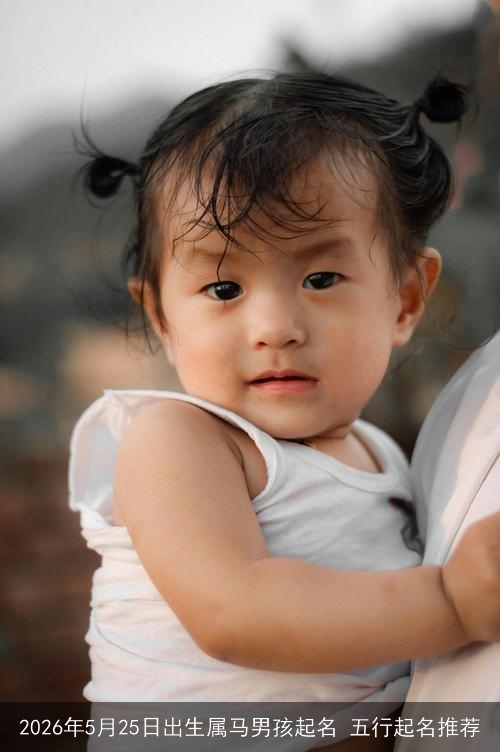 2026年5月25日出生属马男孩起名 五行起名推荐 2026年5月25日出生属马男孩起名 五行起名推荐