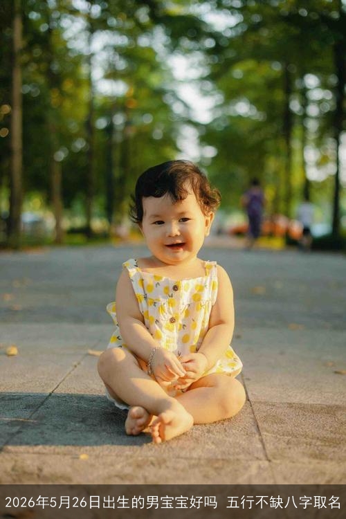 2026年5月26日出生的男宝宝好吗 五行不缺八字取名 2026年5月26日出生的男宝宝好吗 五行不缺八字取名