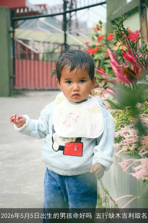 2026年5月5日出生的男孩命好吗 五行缺木吉利取名 2026年5月5日出生的男孩命好吗 五行缺木吉利取名