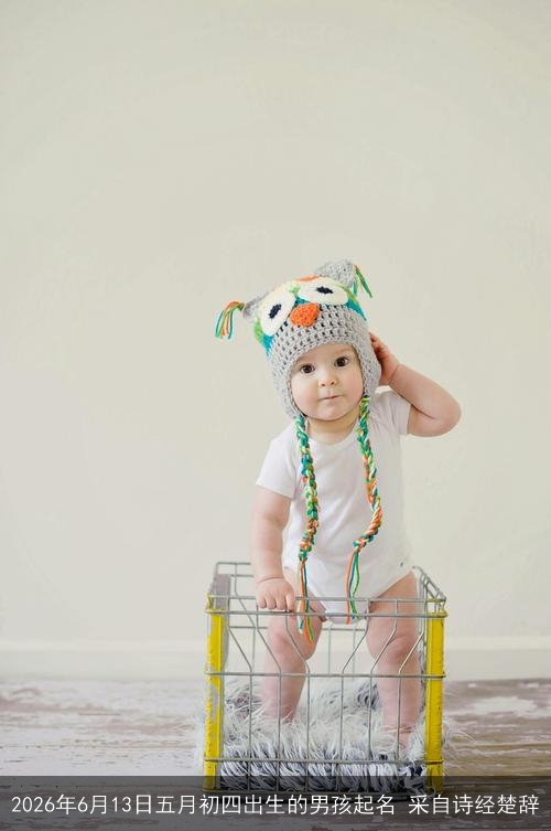2026年6月13日五月初四出生的男孩起名 采自诗经楚辞 2026年6月13日五月初四出生的男孩起名 采自诗经楚辞