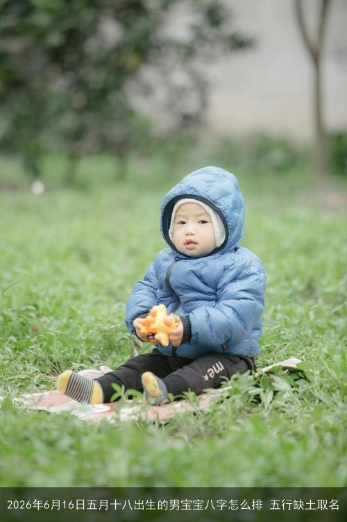 2026年6月16日五月十八出生的男宝宝八字怎么排 五行缺土取名 2026年6月16日五月十八出生的男宝宝八字怎么排 五行缺土取名