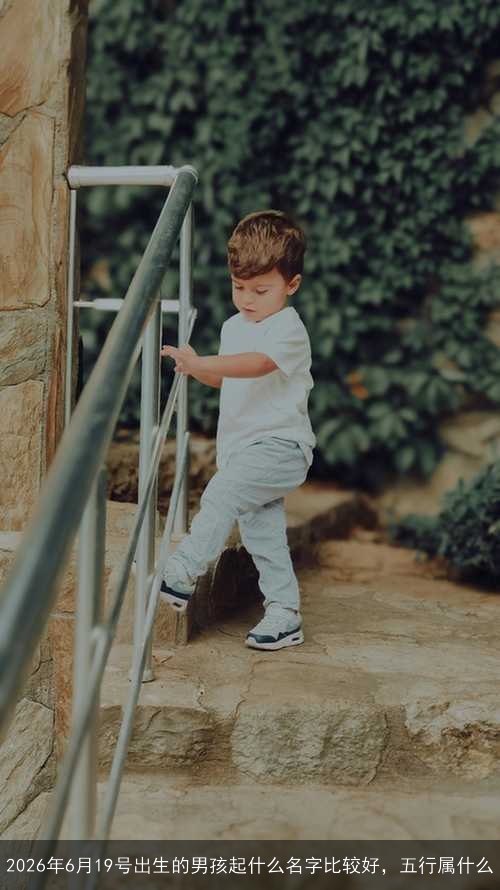 2026年6月19号出生的男孩起什么名字比较好,五行属什么 2026年6月19号出生的男孩起什么名字比较好,五行属什么