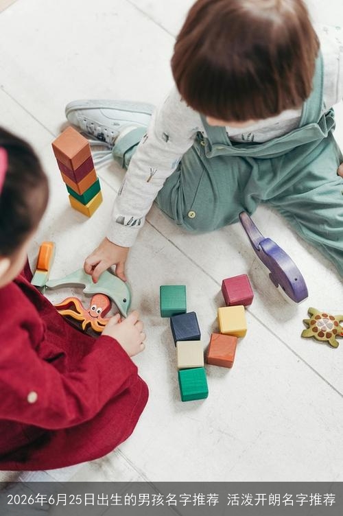 2026年6月25日出生的男孩名字推荐 活泼开朗名字推荐 2026年6月25日出生的男孩名字推荐 活泼开朗名字推荐