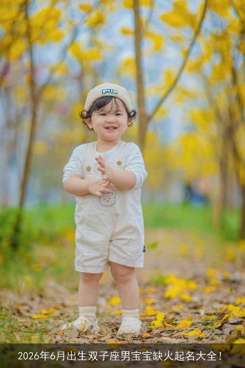 2026年6月出生双子座男宝宝缺火起名大全! 2026年6月出生双子座男宝宝缺火起名大全!
