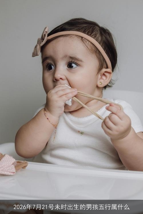 2026年7月21号未时出生的男孩五行属什么 2026年7月21号未时出生的男孩五行属什么