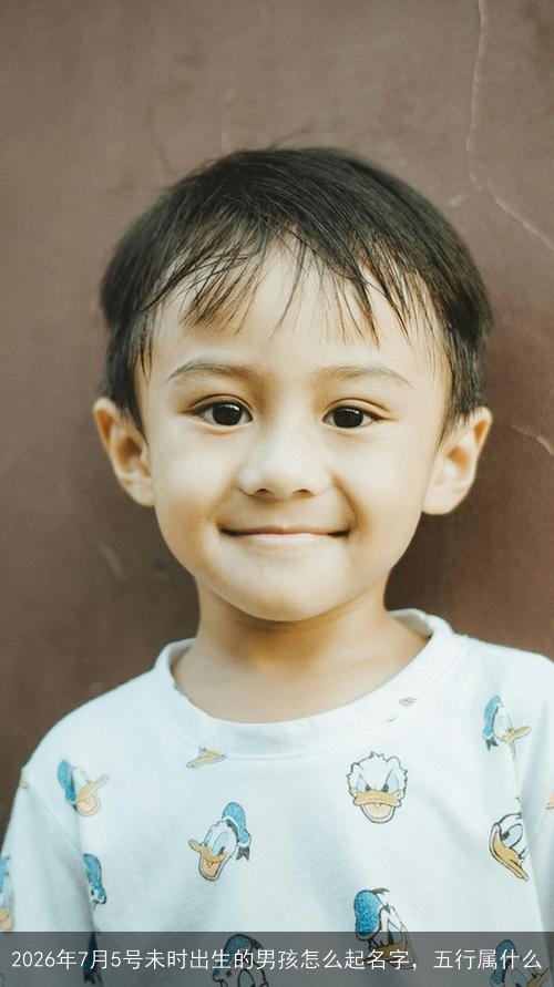 2026年7月5号未时出生的男孩怎么起名字,五行属什么 2026年7月5号未时出生的男孩怎么起名字,五行属什么