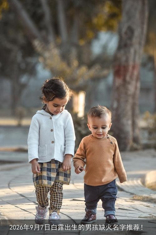 2026年9月7日白露出生的男孩缺火名字推荐! 2026年9月7日白露出生的男孩缺火名字推荐!
