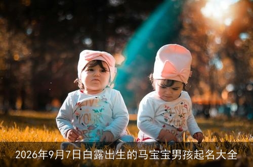 2026年9月7日白露出生的马宝宝男孩起名大全 2026年9月7日白露出生的马宝宝男孩起名大全