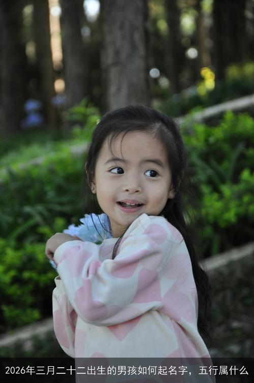 2026年三月二十二出生的男孩如何起名字,五行属什么 2026年三月二十二出生的男孩如何起名字,五行属什么