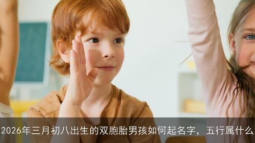 2026年三月初八出生的双胞胎男孩如何起名字,五行属什么 2026年三月初八出生的双胞胎男孩如何起名字,五行属什么