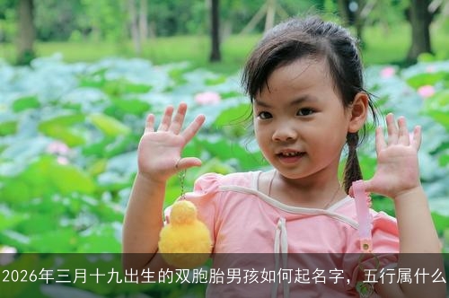 2026年三月十九出生的双胞胎男孩如何起名字,五行属什么 2026年三月十九出生的双胞胎男孩如何起名字,五行属什么